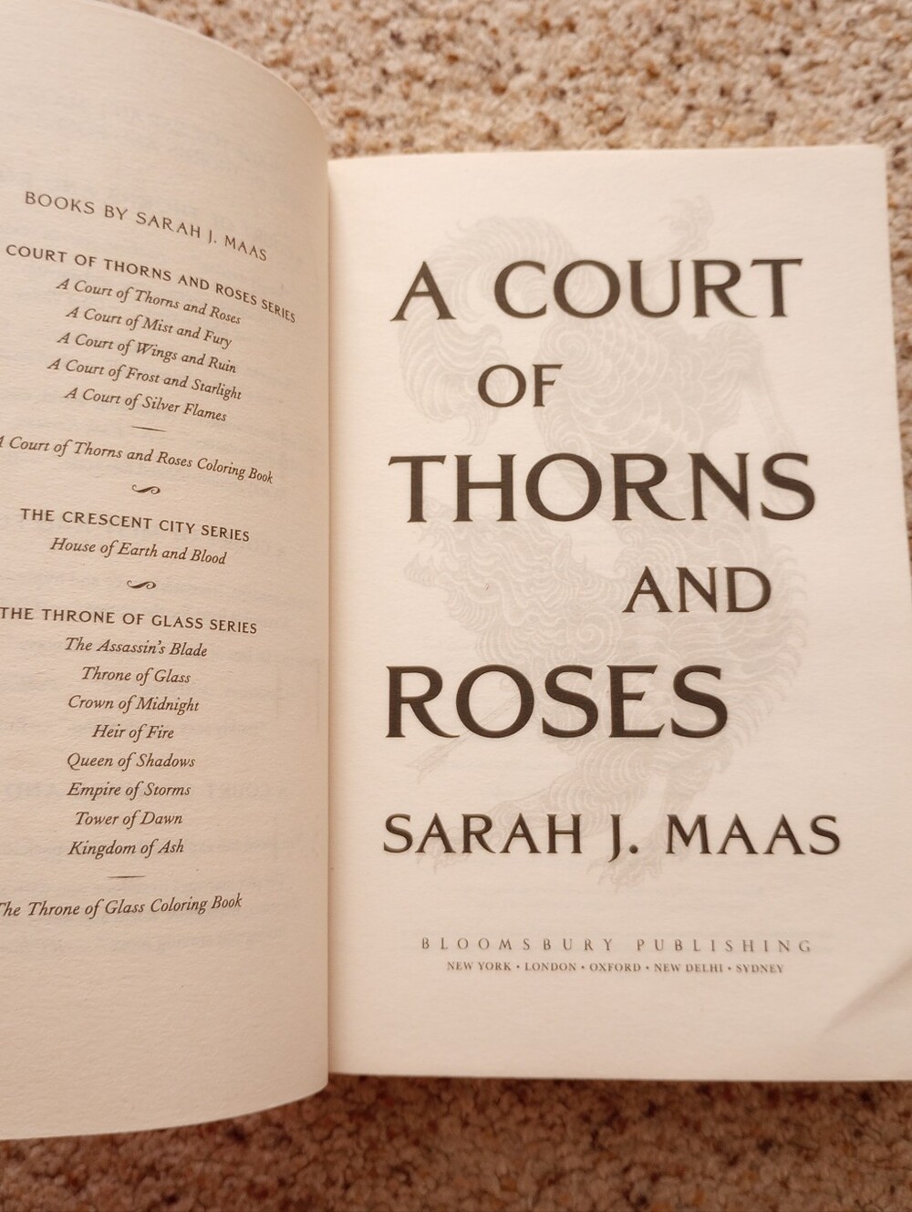A Court Of Thorns And Roses Sarah J. Maas Book Fantasy Romance - Picture 6 of 12